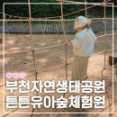 살랑살랑 | 부천 아이랑 가볼만한 곳 추천, 부천자연생태공원 튼튼유아숲체험원 후기