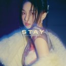 스테이어게인 스포츠동아