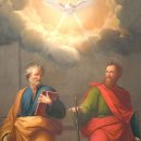 2023년 6월 29일 성 베드로와 성 바오로 사도 대축일/조재형 가브리엘 신부 이미지