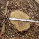 은평-028 이미지