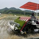 영동축사 이미지