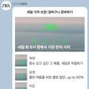 ZARA- 세일가격 오픈