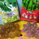 롯데웰푸드(주)네슬레청주 | 롯데젤리 청포도 젤리 수박바 젤리