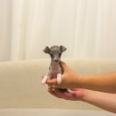 대한켄넬 이미지