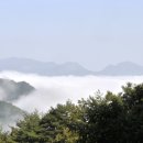 똘레랑스 이미지