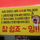속초아저씨튀김맛집