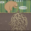 모소대나무