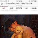 장싸롱