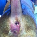 논현동물병원 이미지