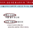 중보뜰 Daum카페