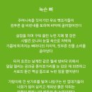 녹슨 뼈 , 피라미의 아가미 이미지