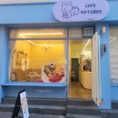 카페 도토리 샐러드 부산사직점 네이버블로그