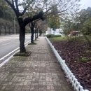 서울나래학교 | [동아방송예술대학교] | 수시 입시기간 입시요원 후기🪽