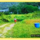 쪽빛나라 이미지