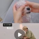 꼼꼼하개 - 양산시 버들길 12 | 꼼꼼하개
