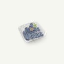 모들디자인 이미지