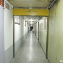 그린마크사