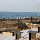 바이러닉 에스프레소 바 제주점 <b>제주</b>공항 근처 오션뷰 카페 : 이호테우 해변에 위치한 <b>바이러닉</b> <b>에스프레소</b><b>바</b> <b>제주점</b>