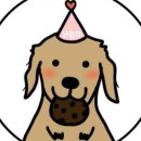 뽀미까까 이미지