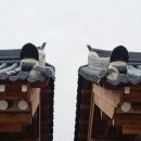 신탁행정사사무소 이미지