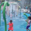 화정도서관 화장실 이미지