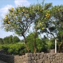 연우민박 이미지