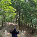 보문산오거리 | [대전] 보문산 초보 등산 코스 ‘보문산성’, 보리밥·해물파전 맛집 반찬식당까지!