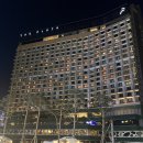 [서울 중구]더 플라자 호텔 서울 호캉스 &#39;플라자 스위트 킹&#39; 객실 투숙 후기