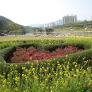 서천운동장 이미지