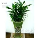 묵동-080 이미지