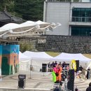 김밥붐 | 2025 김천김밥축제 다녀왔어요 - 김밥축제 솔직후기
