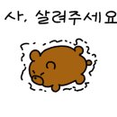 부산약국 네이버블로그
