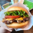 쉐이크쉑 서면 이미지