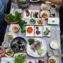 대풍마차 티스토리
