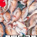 피싱펜션 네이버블로그