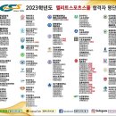 엘리트체대입시