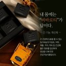 로티주 이미지