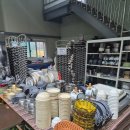 사강시장 | 화성) 화성 아이랑 갈만 한 곳 사강시장 근처 카라반 사강 스마트팜 캠핑장 내돈내산 후기