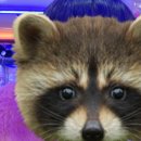 엑스탑오락실 이미지