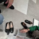 락포트신세계대전