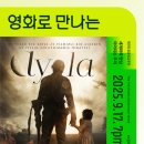 영화5길 이미지