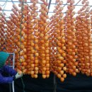 고능농장 이미지