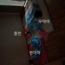 궁의 아침
