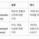 외현기억 이미지