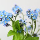 압화만들기 이미지