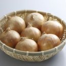 양파 네이버블로그