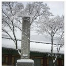 설화 이미지