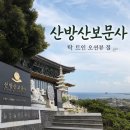 산방산의품 | [제주 산방산 핫플] 산방산보문사 탁 트인 오션뷰 절...마음이 편안해지는 서귀포 가볼 만한 곳 솔직 후기