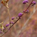 도봉-쌍문-도봉-1144 이미지