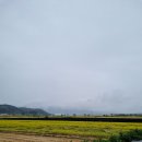 탄부초 사직분교 이미지